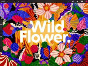 Procreate for Windows