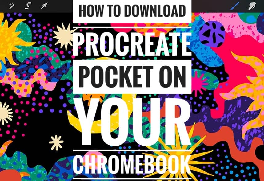 Learn How to Download Procreate Pocket App on your Chromebook For Free in one click